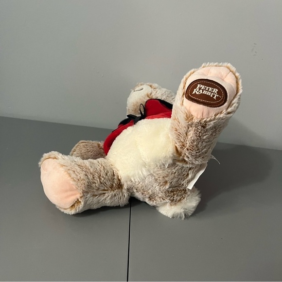3/25$(Mix) Peter Rabbit With Red Jacket 16” - Picture 7 of 11